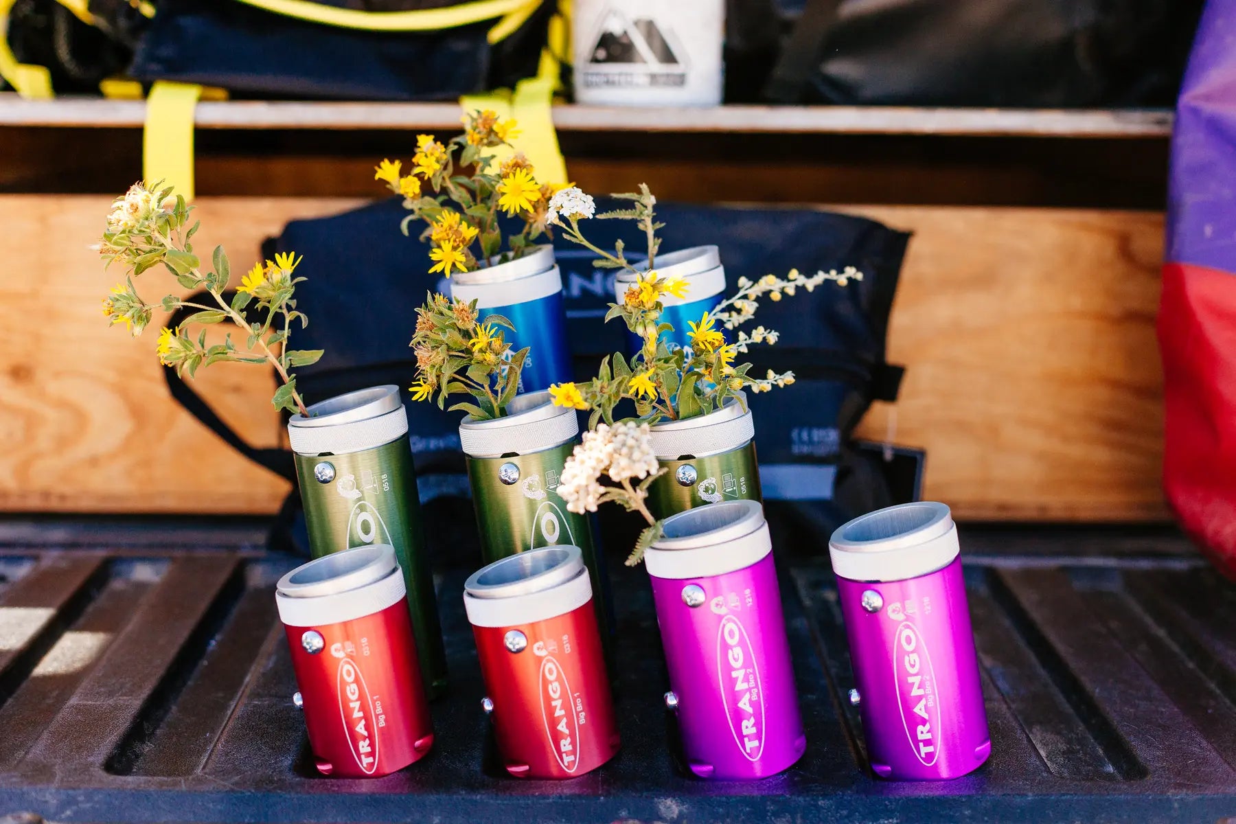 Gear - Trango - BigBro, lined up with flowers sticking out.