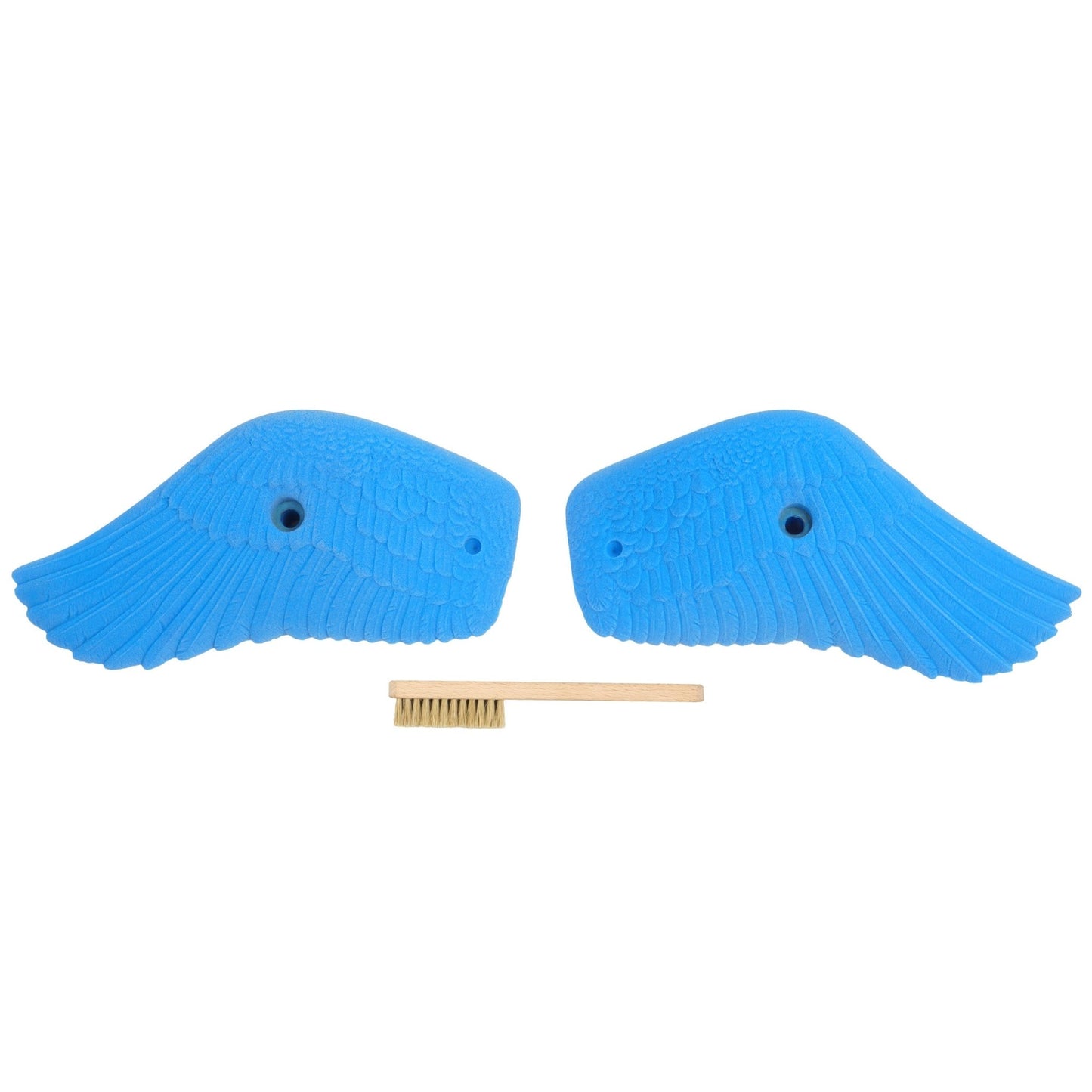 Trango Holds Parrot Wings