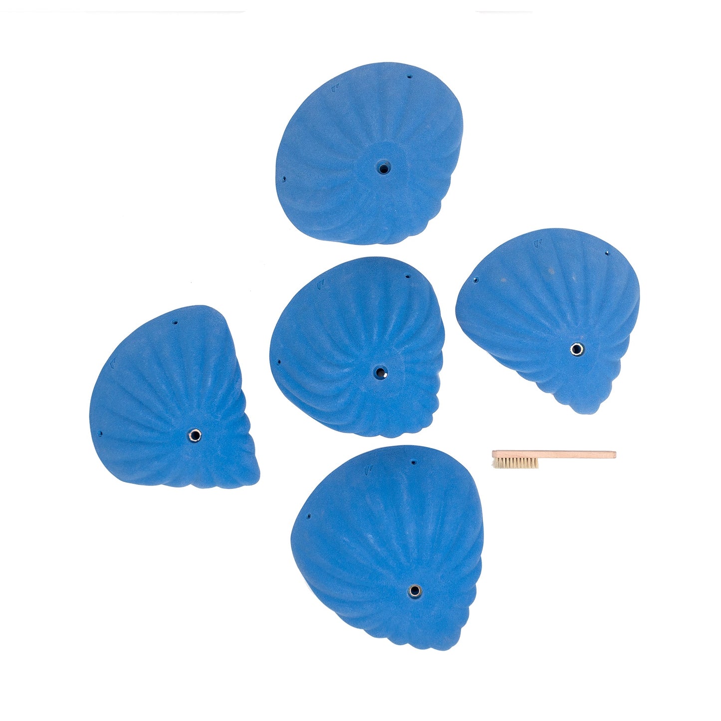 Trango Holds Sand Dollar Jugs