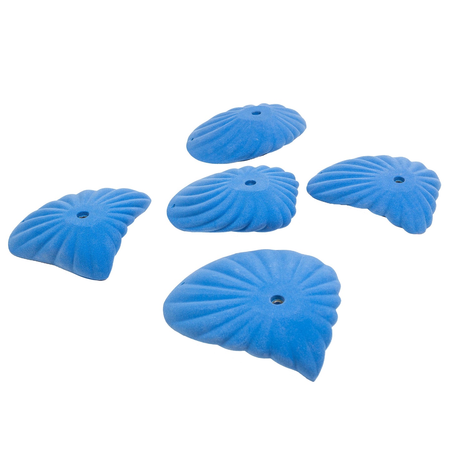 Trango Holds Sand Dollar Jugs