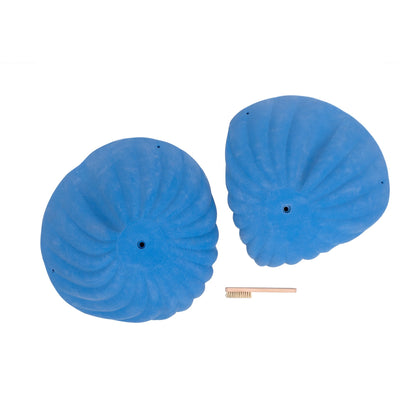 Sand Dollar Roof Jugs